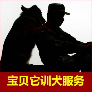 鼠标移上去可以放大