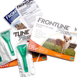 鼠标移上去可以放大