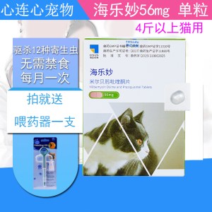 鼠标移上去可以放大