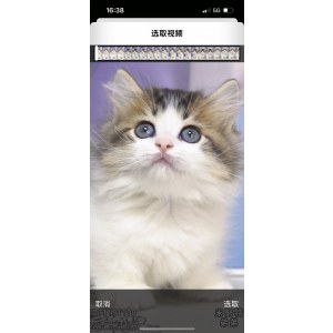  米努特 公DD米努特/公DD/