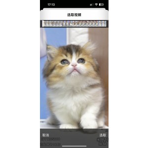  米努特 母MM米努特/母MM/2023-07-23